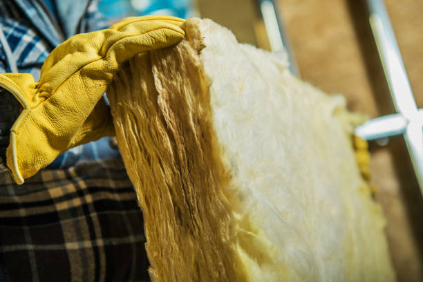 Best Attic Insulation Installation  in Lyman, SC